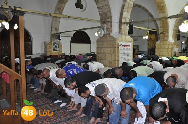 trawe7 7san bek 715 (18).JPG